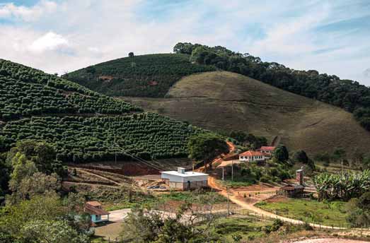 Kaffeeplantage in Brasilien